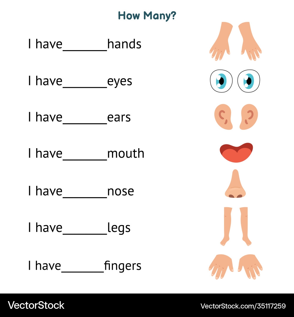 How Many Worksheet With Body Parts For Kids Write Vector Image How Many Worksheet With Body Parts For Kids Write Vector Image