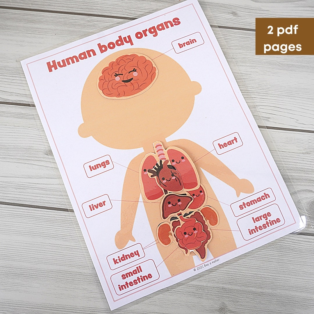 Preschool Human Body Printables For Free Preschool Human Body Printables For Free