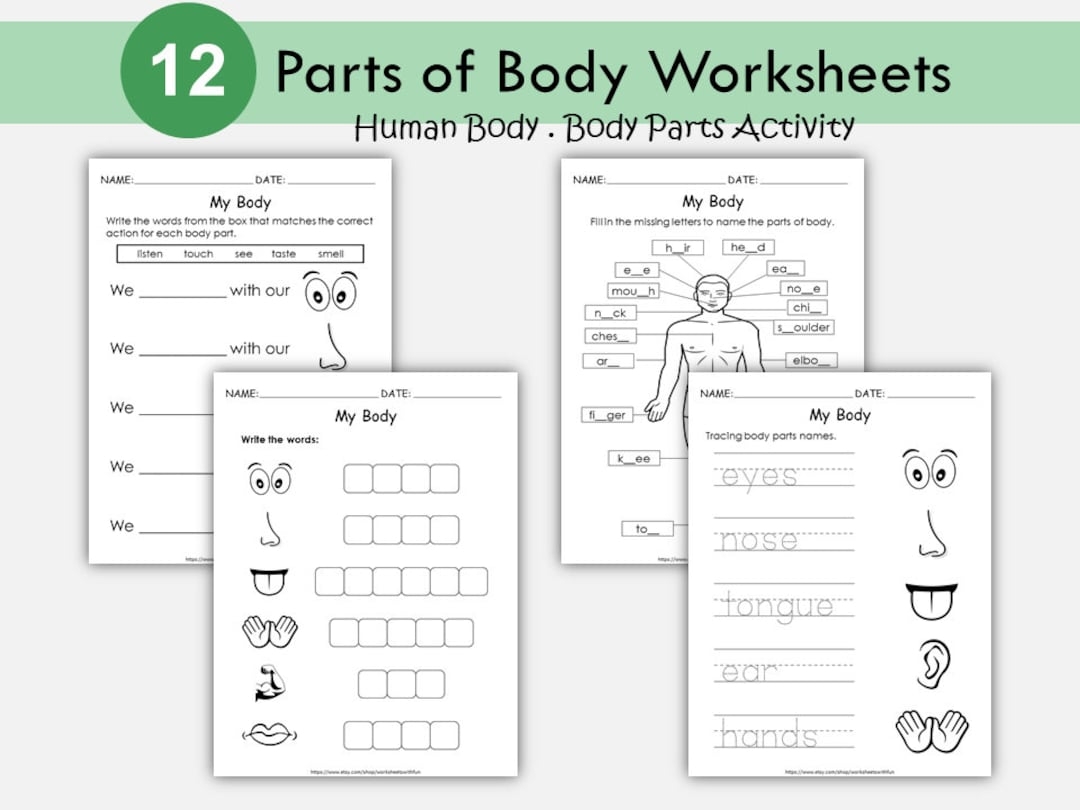 Human Body Worksheets Preschool Kindergarten Activity PDF Download Etsy Human Body Worksheets Preschool Kindergarten Activity PDF Download Etsy