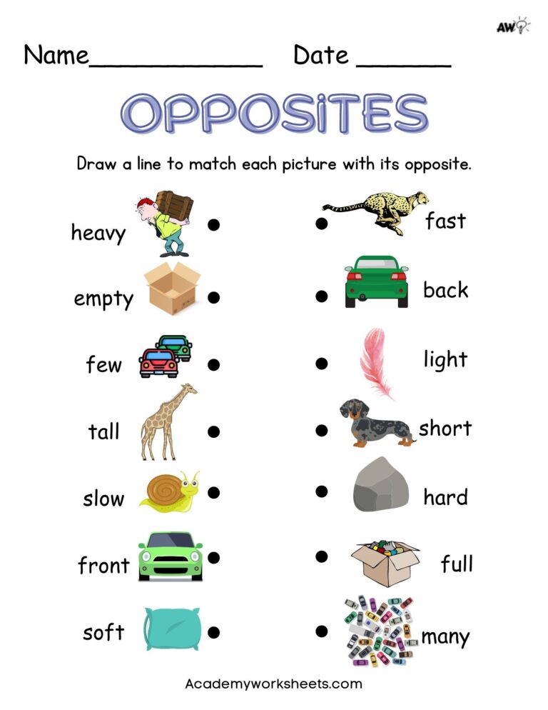 Identifying Opposites For Kindergarten And 1st Grade Academy 