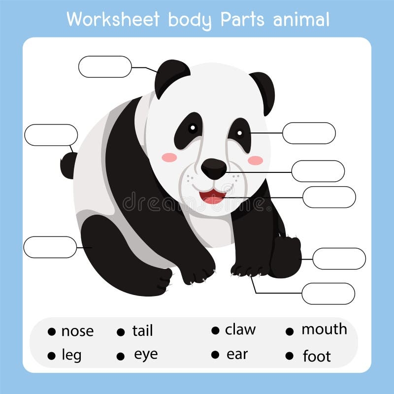 Illustrator Of Worksheet Body Parts Panda Animal Stock Vector Illustration Of Parts Creature 186152247