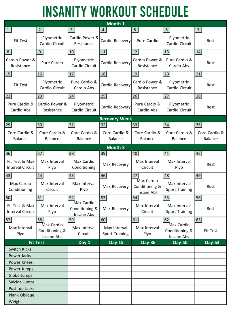 Insanity Workout Schedule 10 Free PDF Printables Printablee