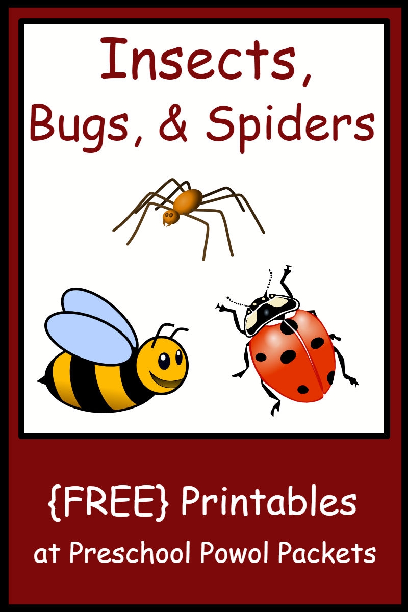 Insect Bug U0026 Spider Themed FREE Preschool Printables Insect Bug U0026 Spider Themed FREE Preschool Printables