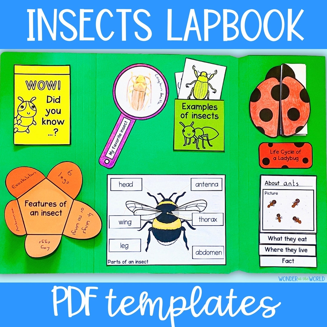 Insect Bugs Foldable Printable Lapbook Templates Digital Download Kids Activity Science Project Etsy