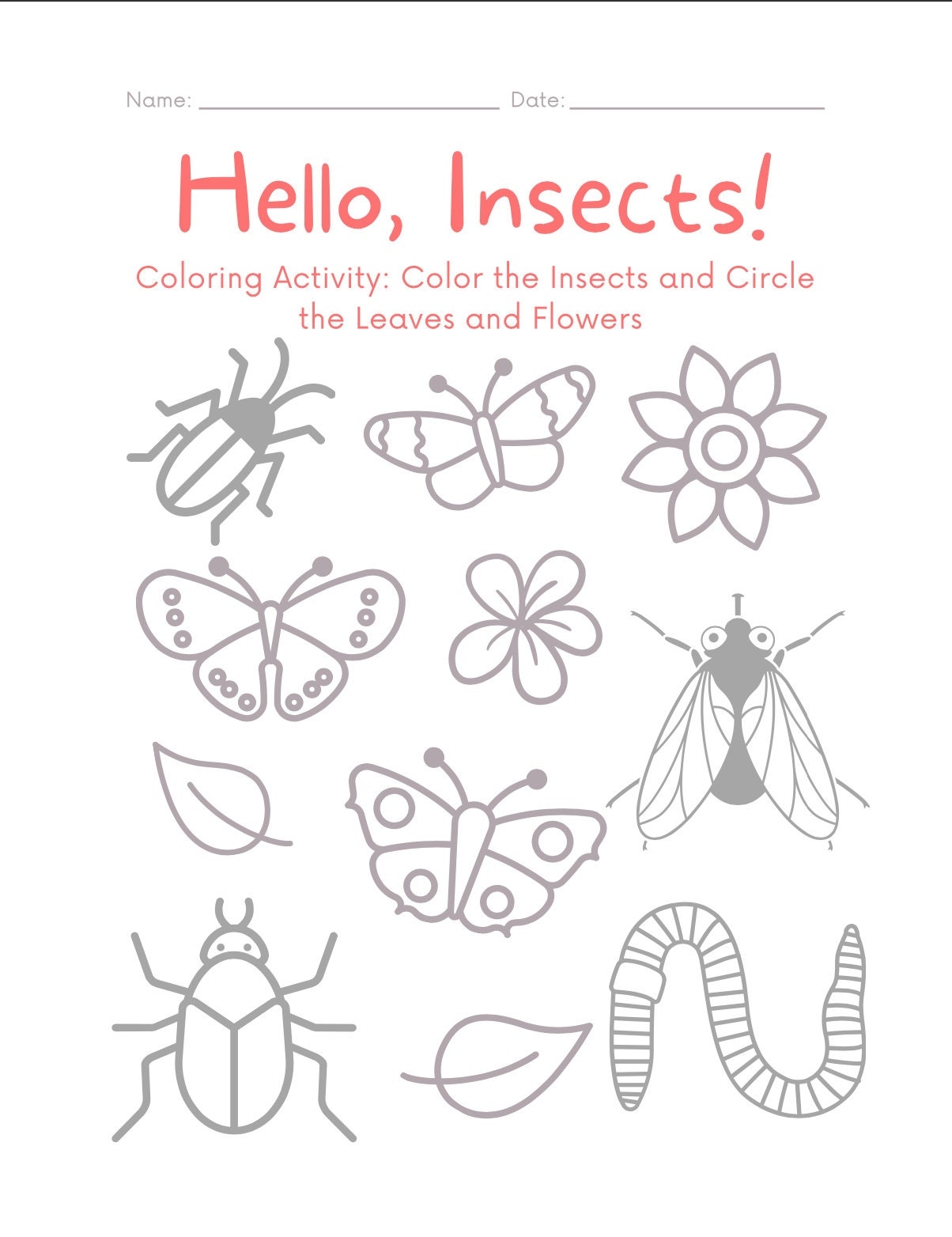 Insect Coloring Worksheet Nature Worksheet Insect Home School Insect Activity Etsy