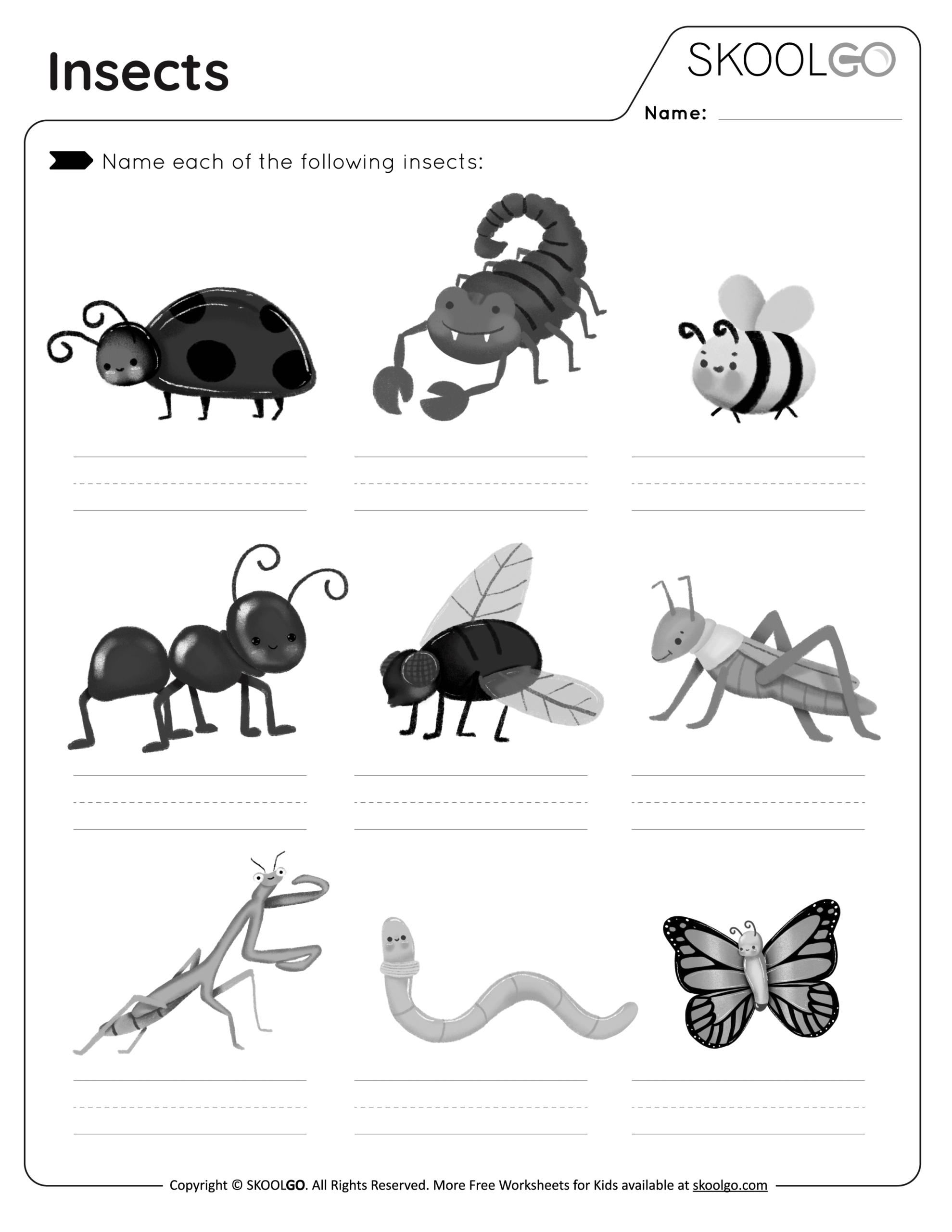 Free Preschool Insect Printables