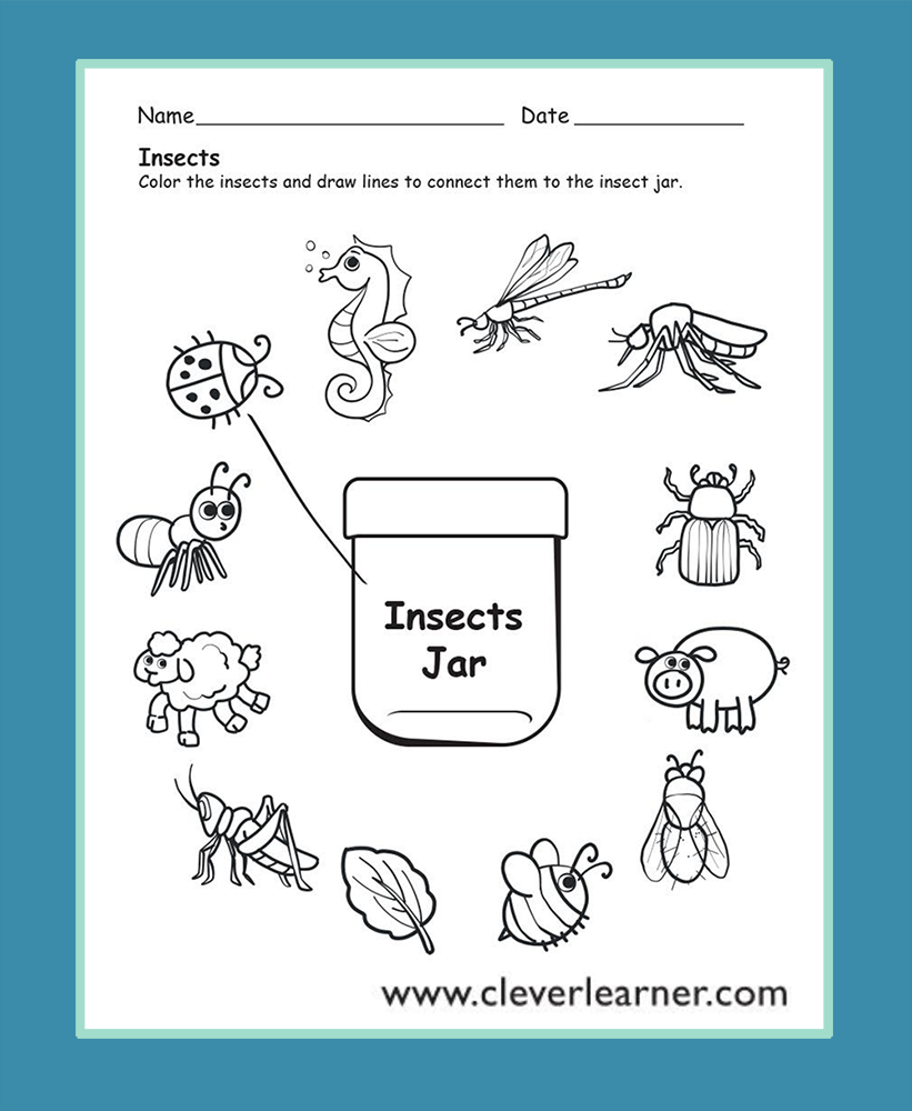 Insects Preschool Worksheets Insects Preschool Preschool