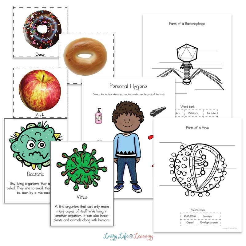 Interactive Health Worksheets For Kids Learn And Stay Healthy Interactive Health Worksheets For Kids Learn And Stay Healthy