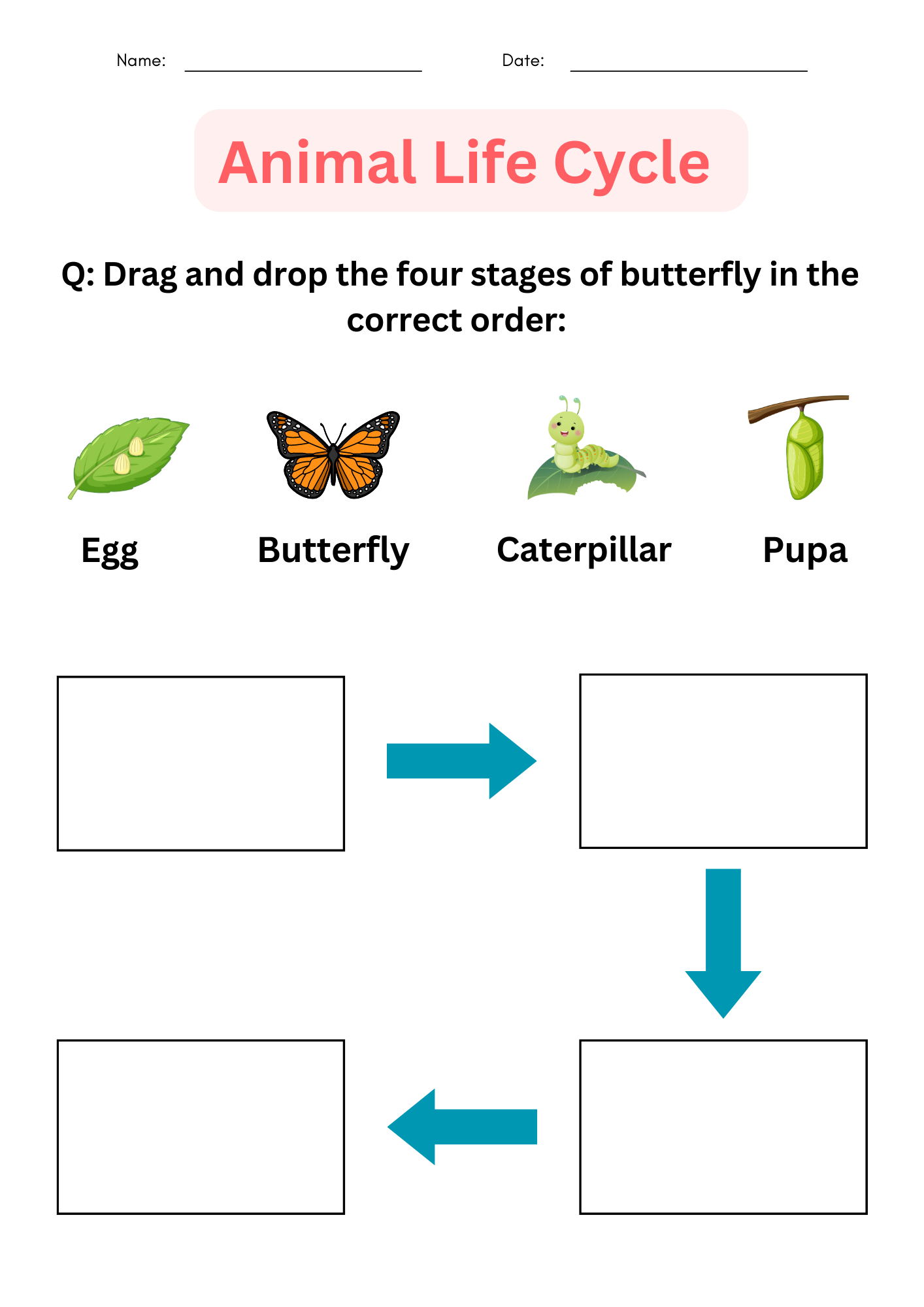 Interactive Worksheet 4th Grade Animal Life Cycle Worksheets Made By Teachers