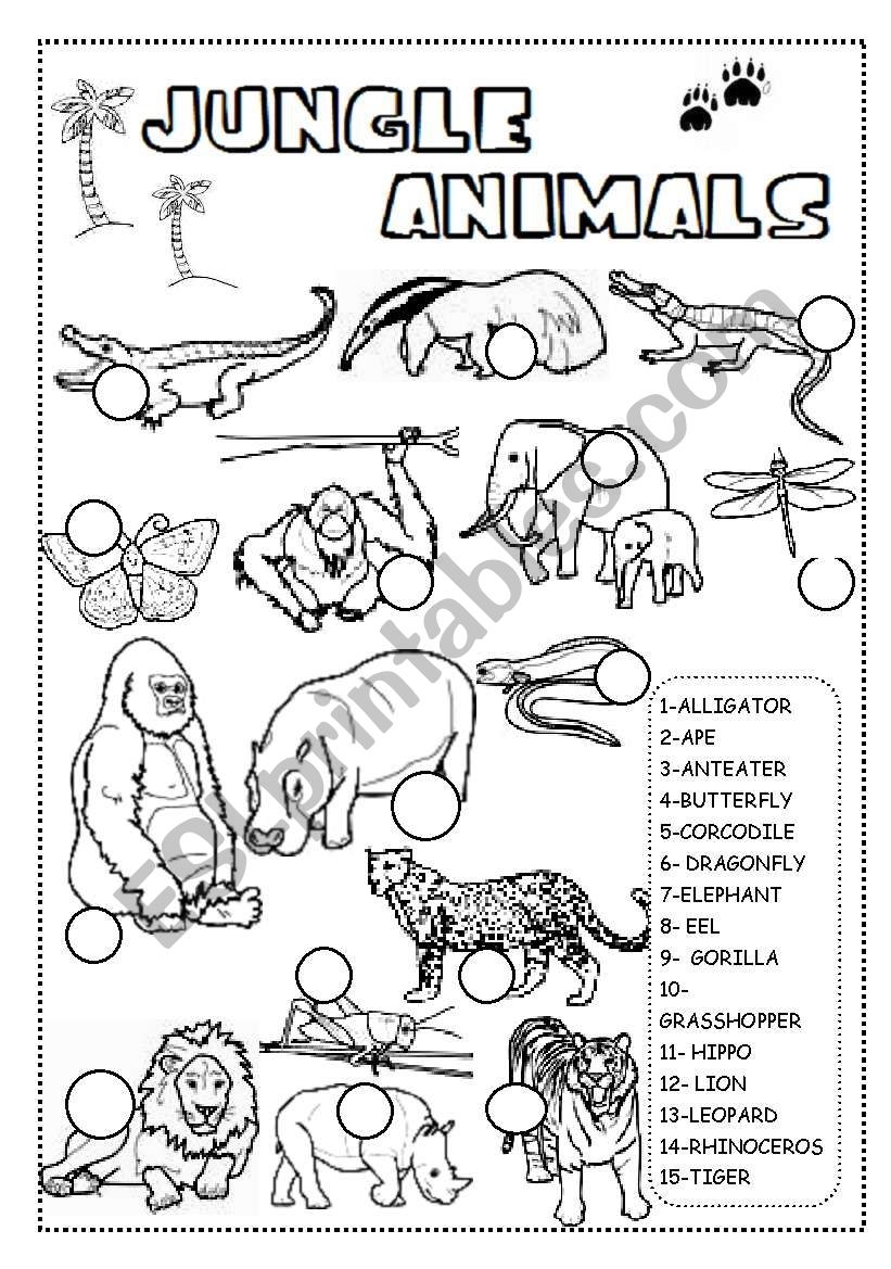 JUNGLE ANIMALS WORKSHEET ESL Worksheet By INETA