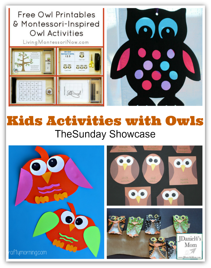 Owl Printables For Preschoolers Owl Printables For Preschoolers