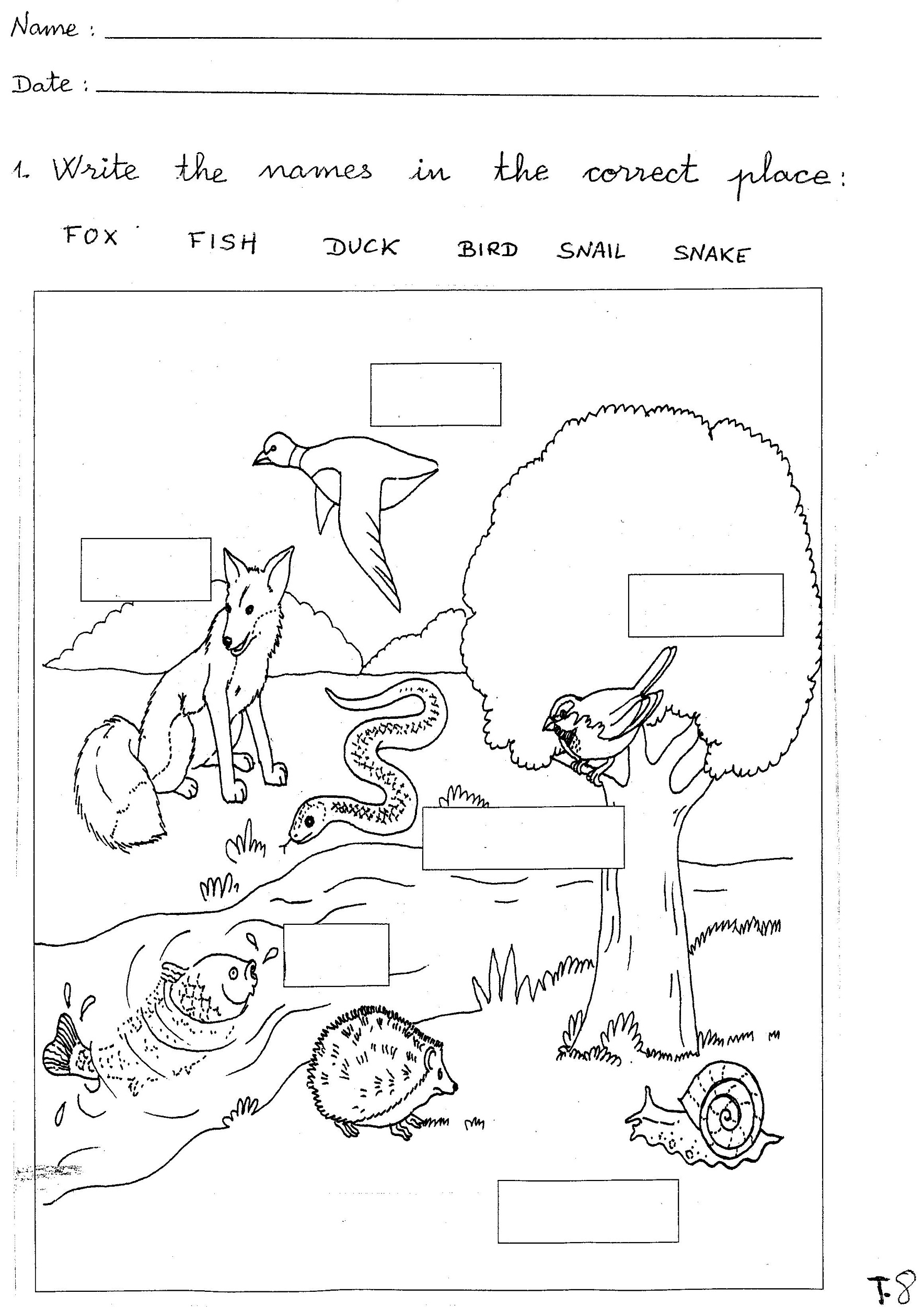 Kindergarten Science Worksheets Word Lists And Activities Worksheets Library Kindergarten Science Worksheets Word Lists And Activities Worksheets Library