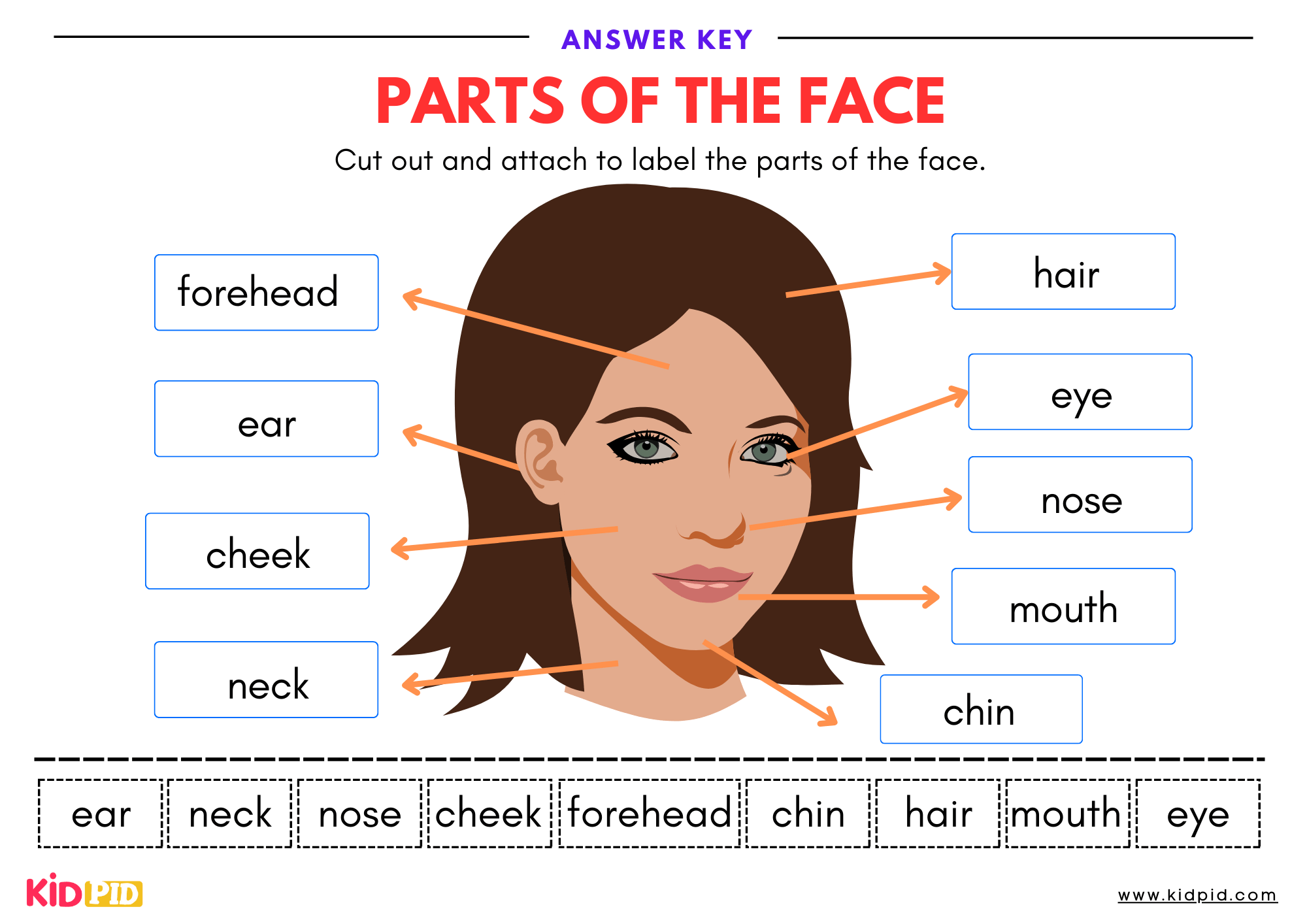 Label The Parts Of The Face Worksheet Kidpid Label The Parts Of The Face Worksheet Kidpid