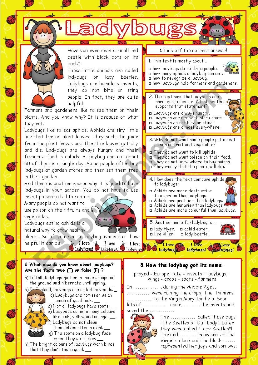 Ladybugs key ESL Worksheet By Regina ze Ladybugs key ESL Worksheet By Regina ze