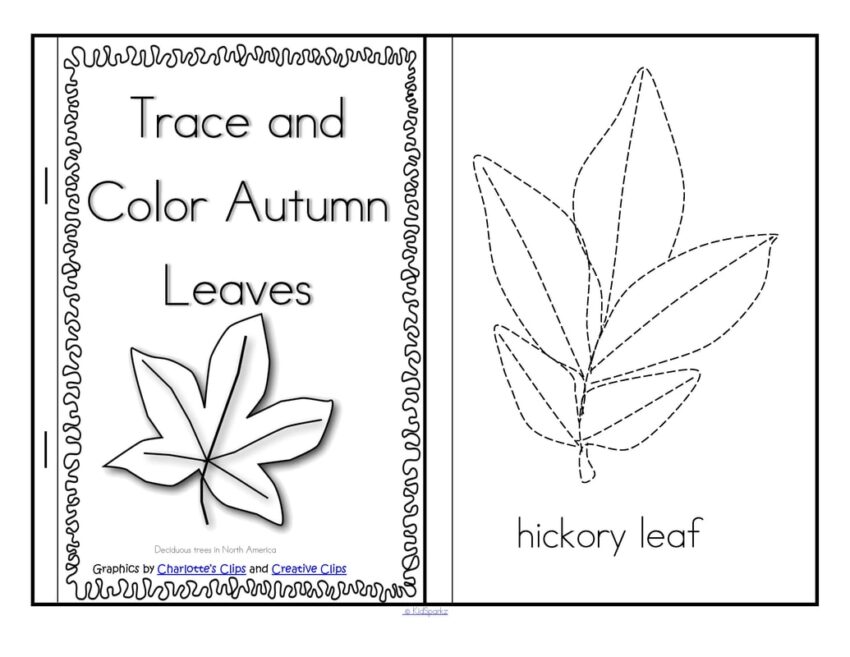 Leaves Theme Activities And Printables For Preschool And Kindergarten KIDSPARKZ