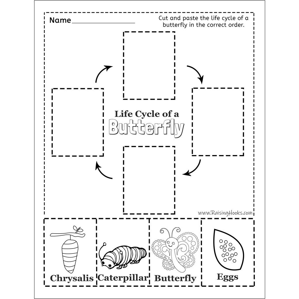 Butterfly Worksheet Printable Butterfly Worksheet Printable