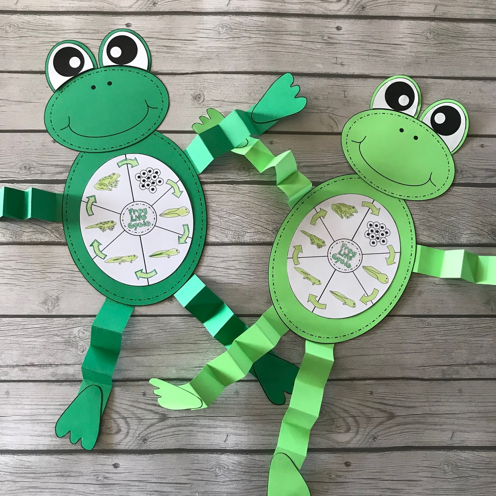 Life Cycle Of A Frog Craft Kindergarten Creations Life Cycle Of A Frog Craft Kindergarten Creations