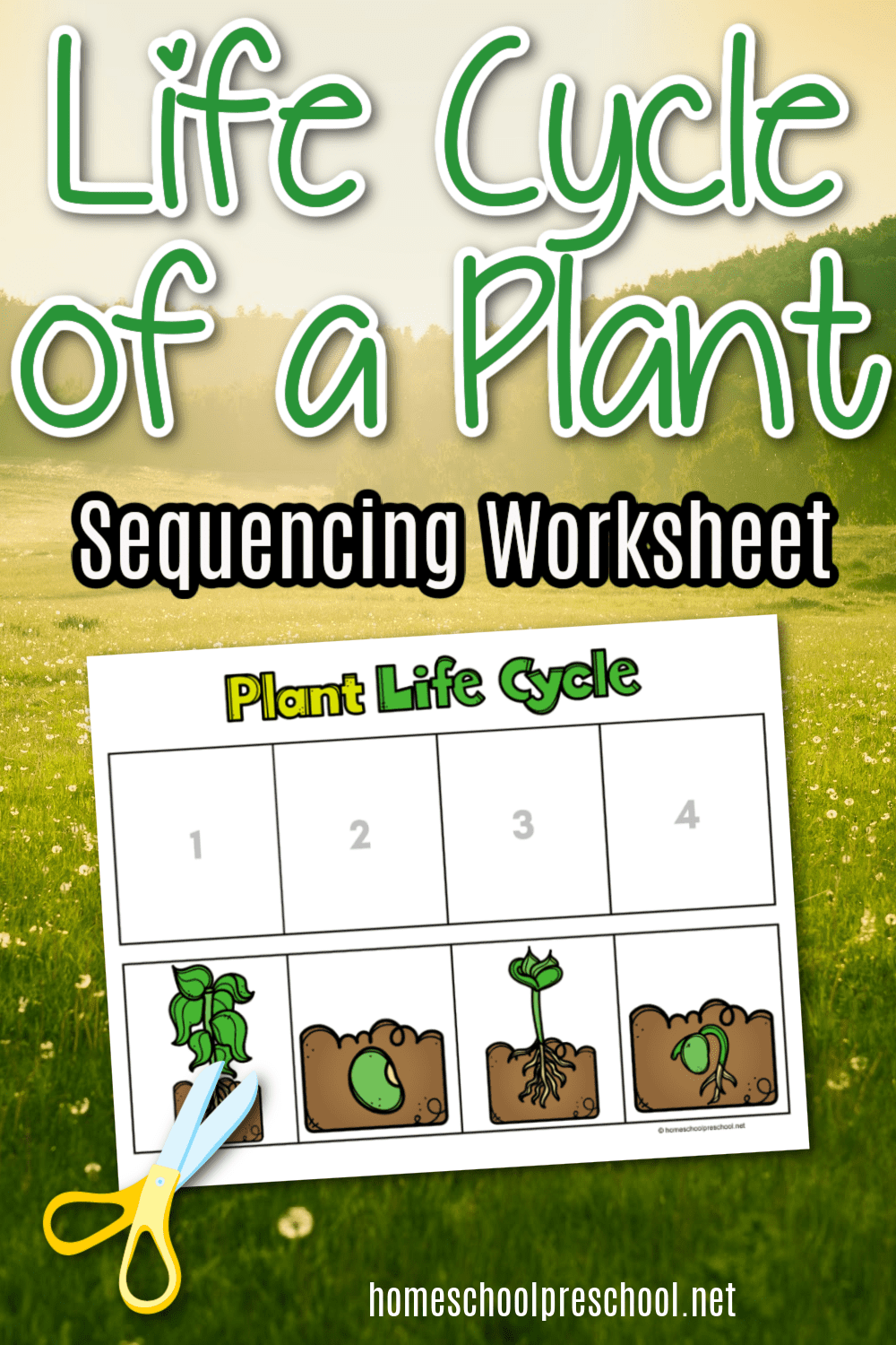 Plant Life Cycle Preschool Printables