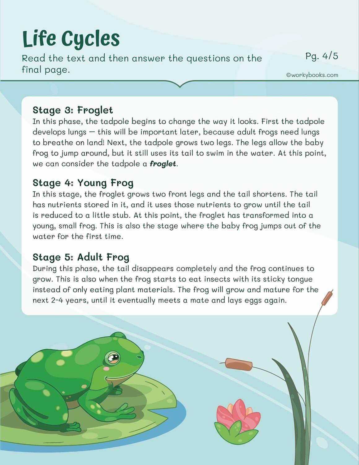 3rd Grade Science Printable Worksheets Free 3rd Grade Science Printable Worksheets Free