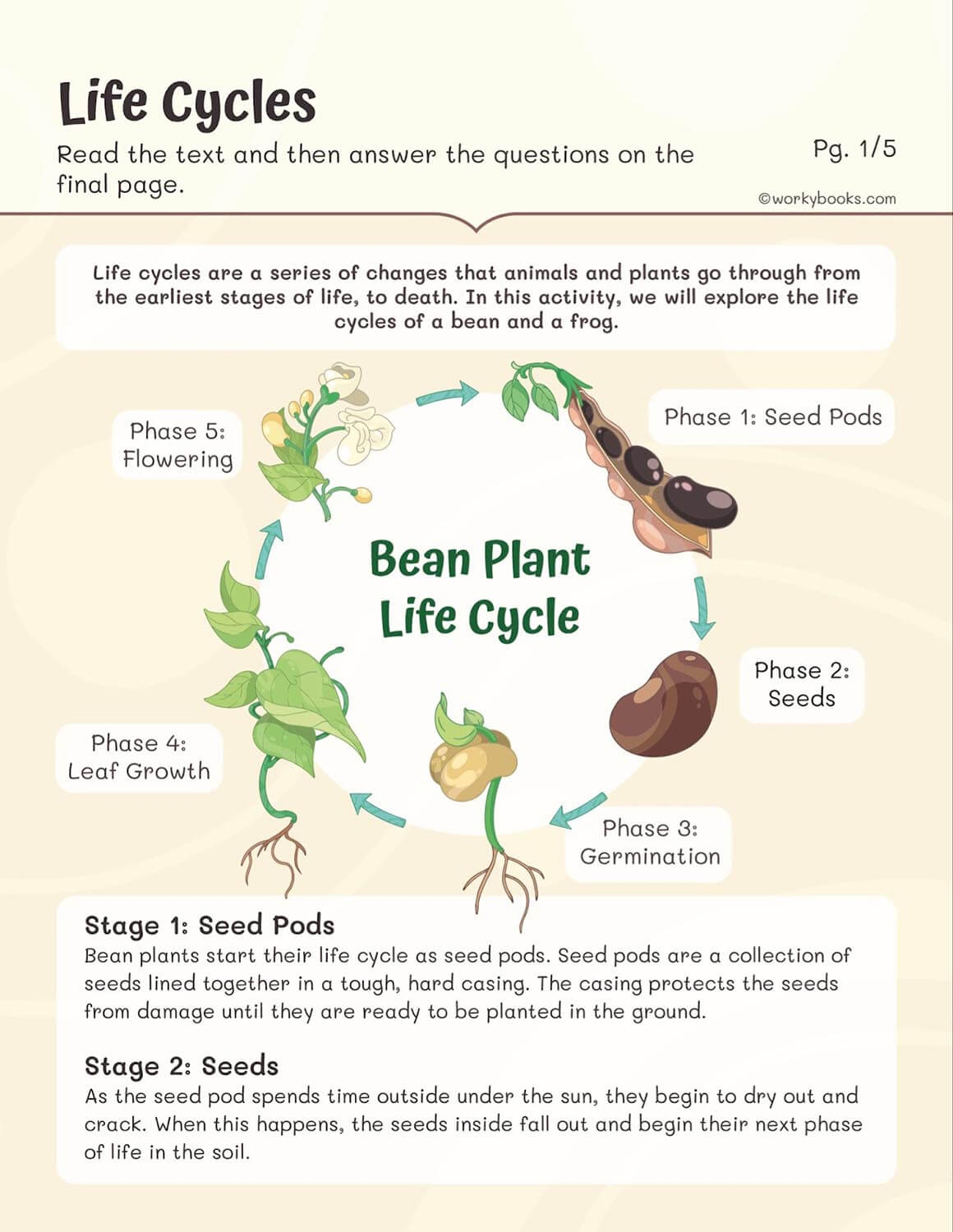 Grade 3 Science Free Printable Worksheets Grade 3 Science Free Printable Worksheets