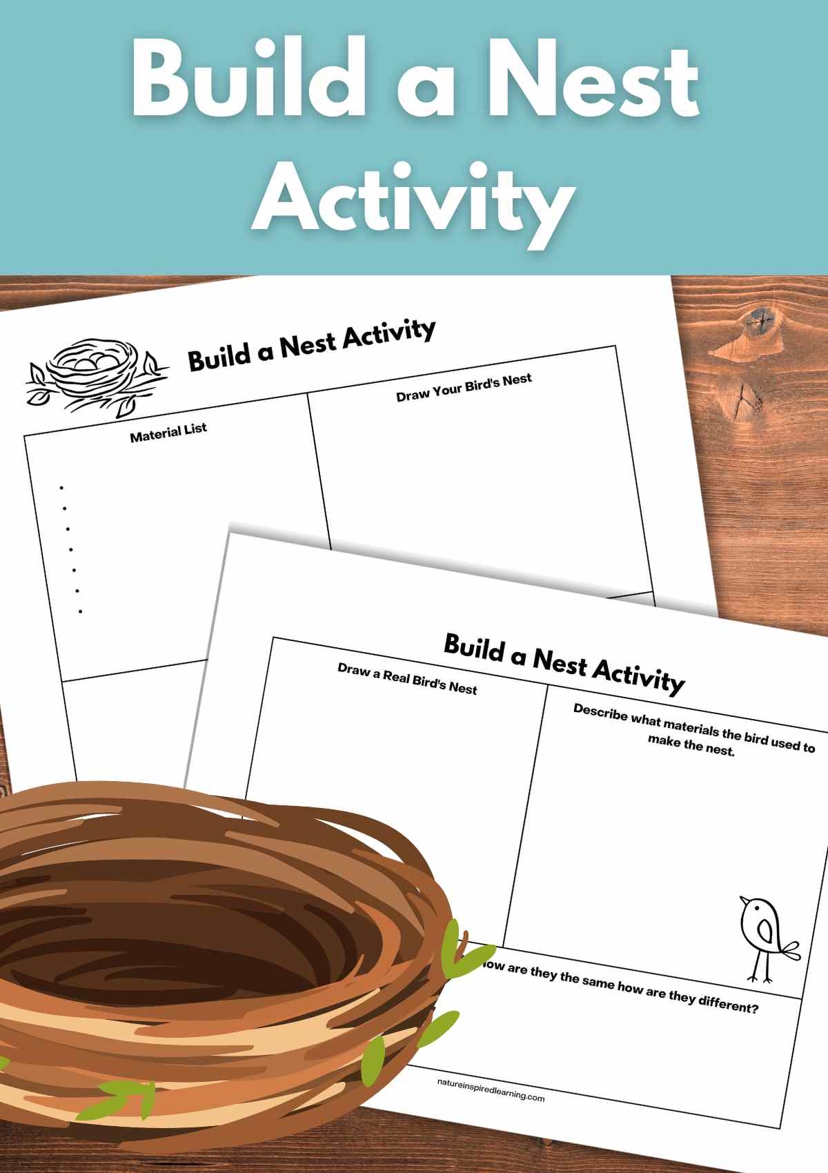 Make A Bird s Nest Activity Nature Inspired Learning Make A Bird s Nest Activity Nature Inspired Learning