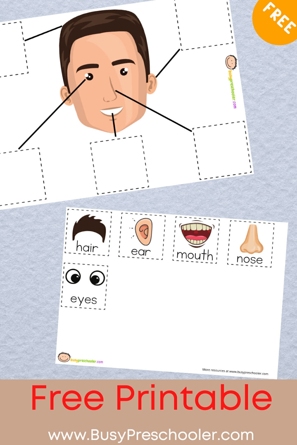MATCH THE FACE PARTS PRINTABLE BusyPreschooler