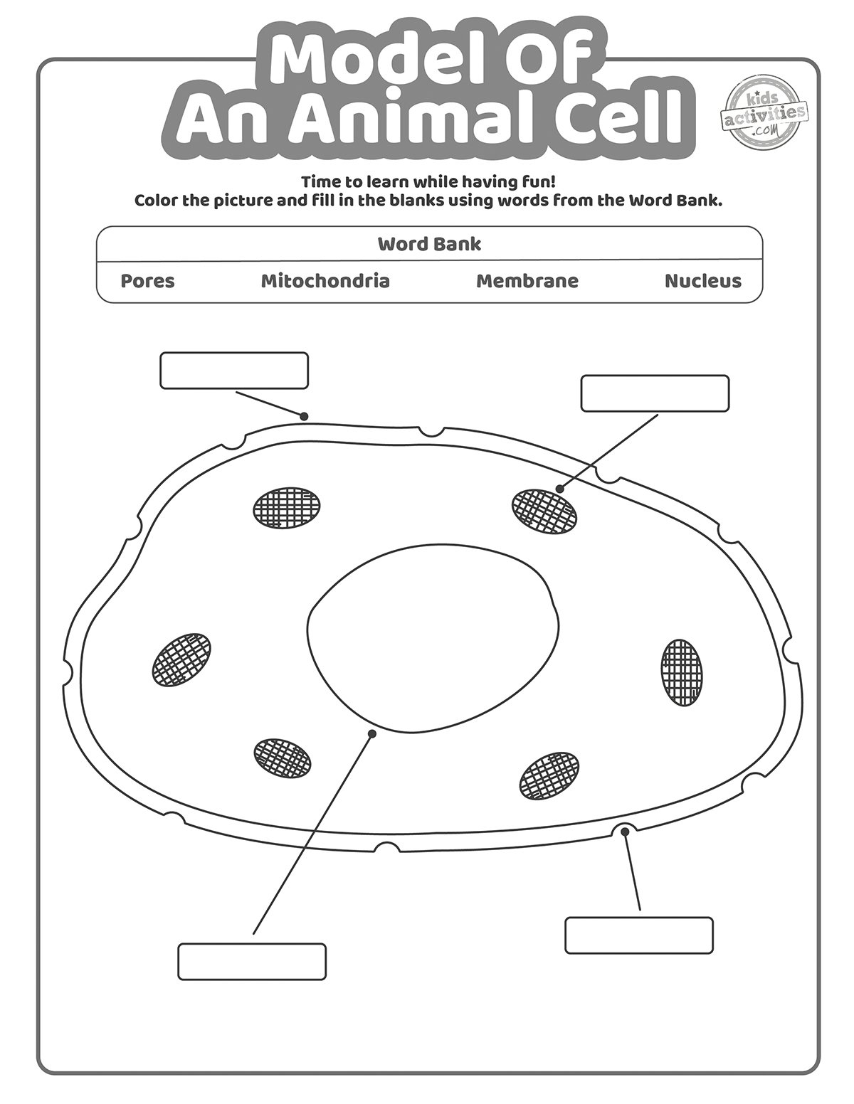 Model Of An Animal Cell Coloring Pages Kids Activities Blog Model Of An Animal Cell Coloring Pages Kids Activities Blog