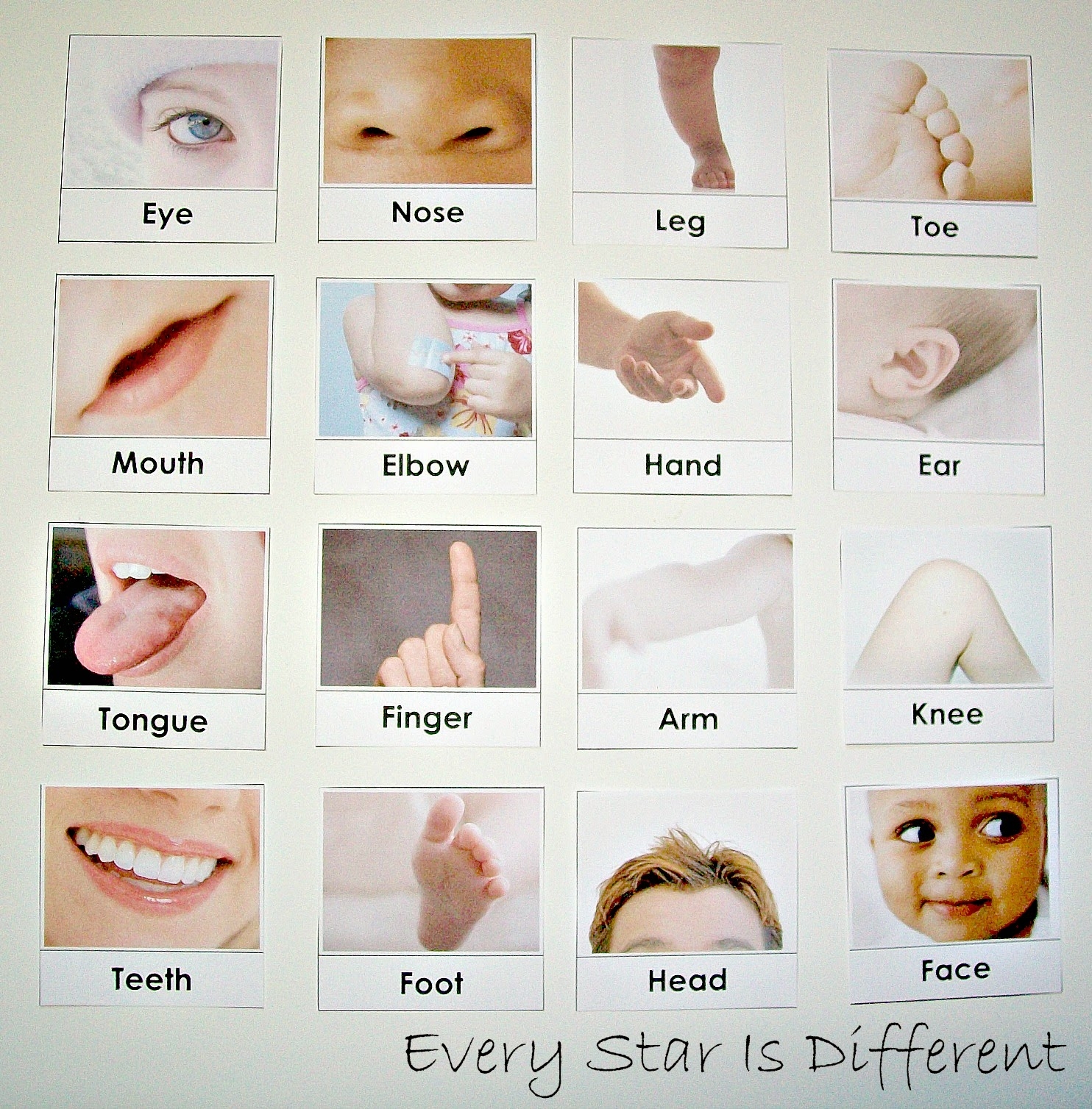My Body Activities For Tots U0026 Preschoolers W Free Printables Every Star Is Different My Body Activities For Tots U0026 Preschoolers W Free Printables Every Star Is Different