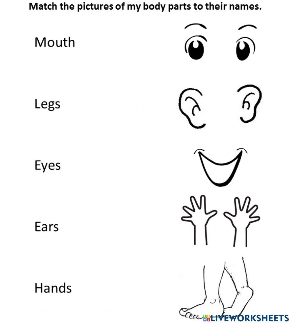 My Body Online Exercise For Preschool Live Worksheets Worksheets Library My Body Online Exercise For Preschool Live Worksheets Worksheets Library