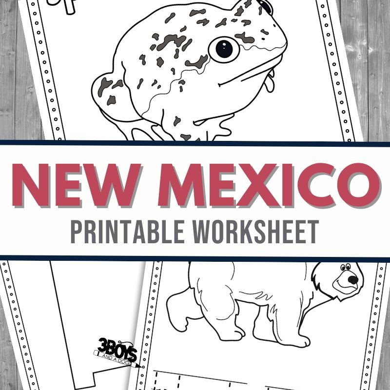 New Mexico Worksheet Printable New Mexico Worksheet Printable