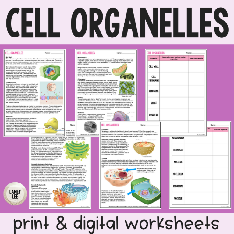 Organelles Reading Comprehension Worksheets Laney Lee