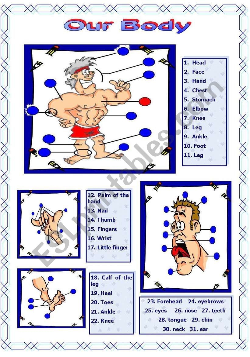 Our Body ESL Worksheet By Vanda51