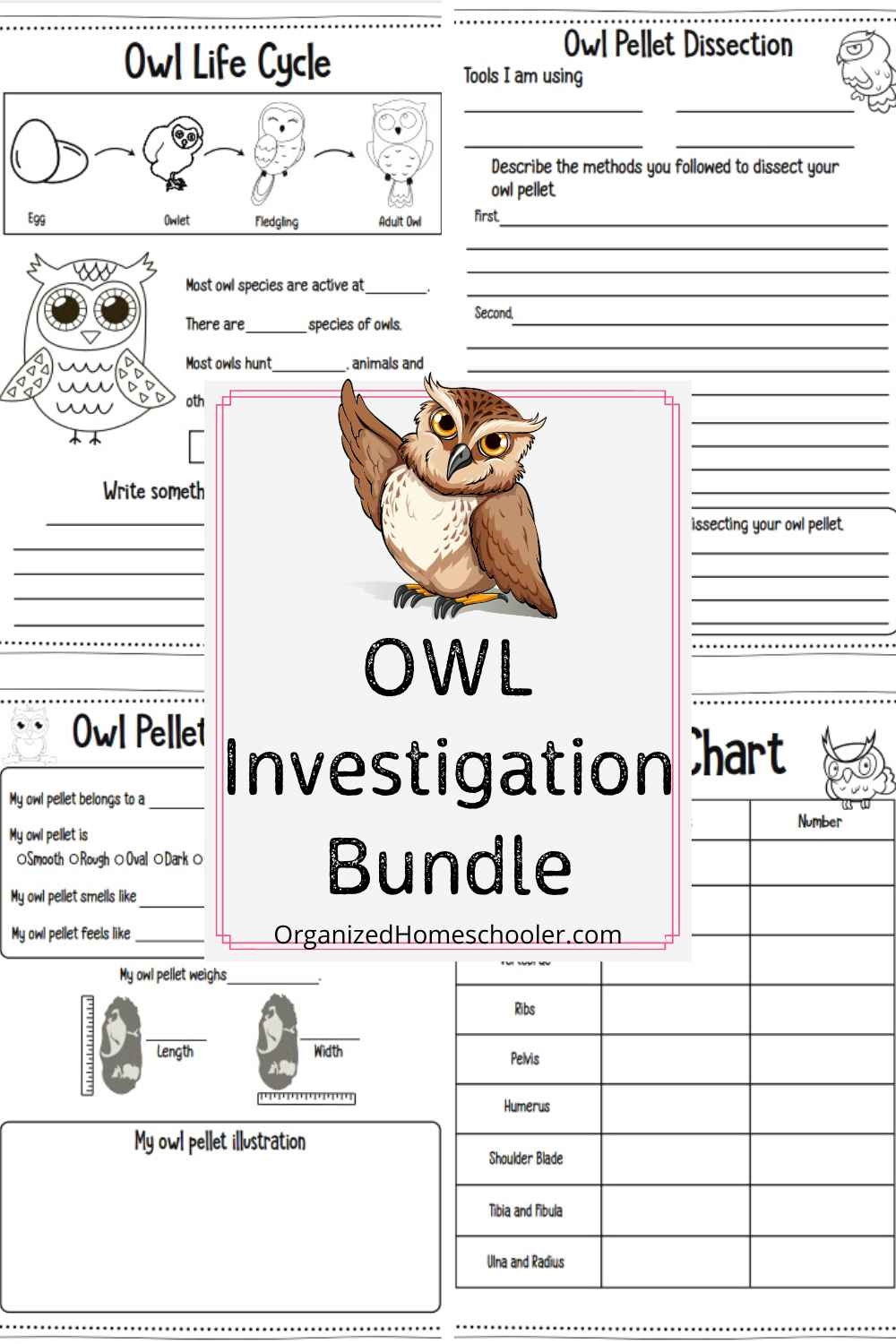 Owl Investigation Bundle Free Homeschool Deals 