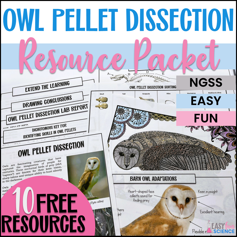 Owl Pellet Dissection Free Classful