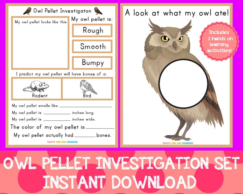 Free Owl Worksheets Owl Pellet Printable