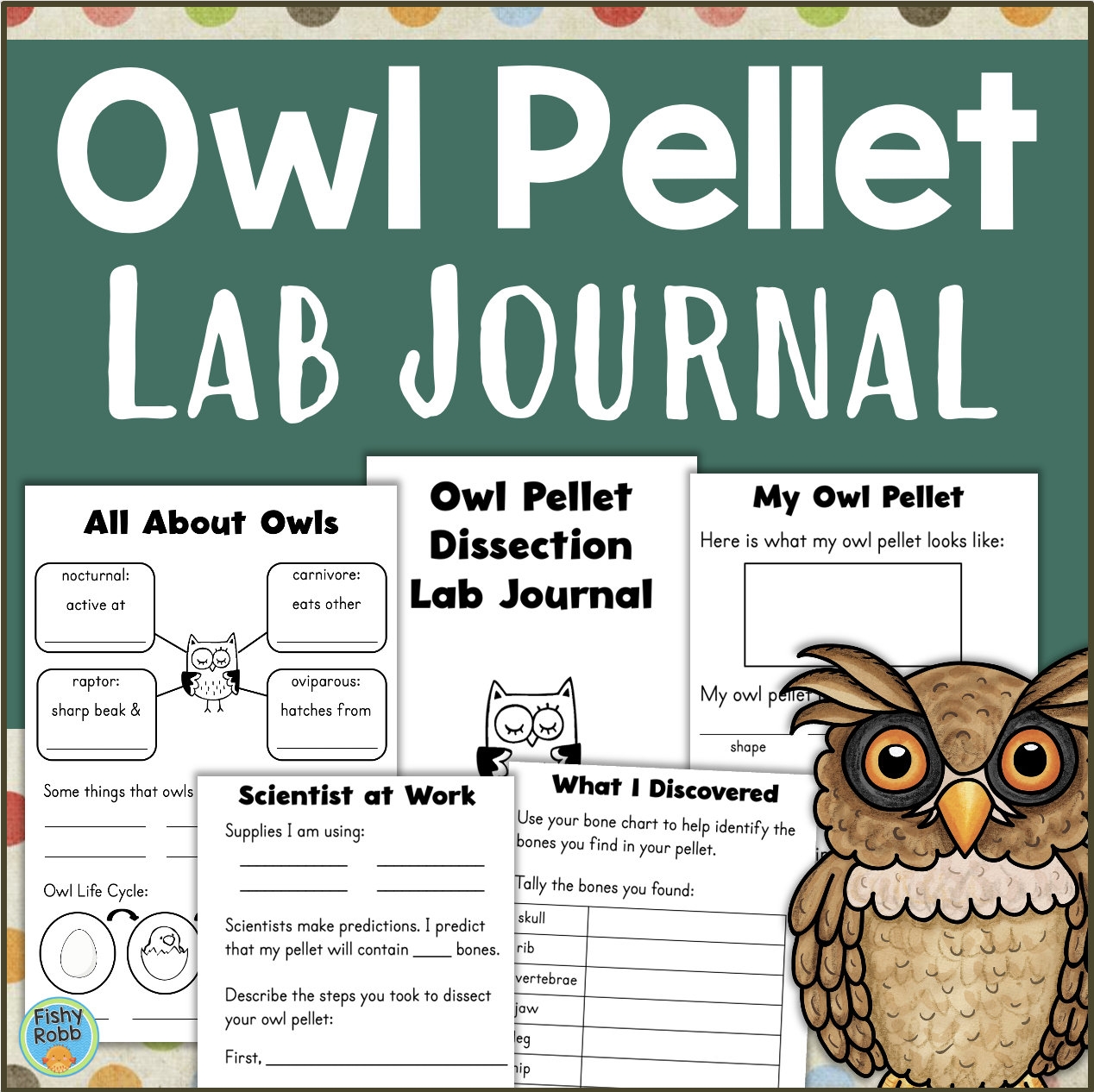 Owl Pellet Worksheet Etsy
