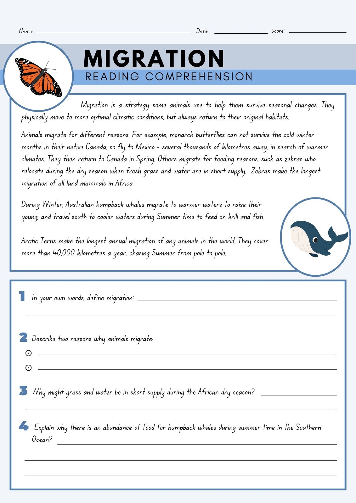 3rd Grade Comprehension Worksheet Printable