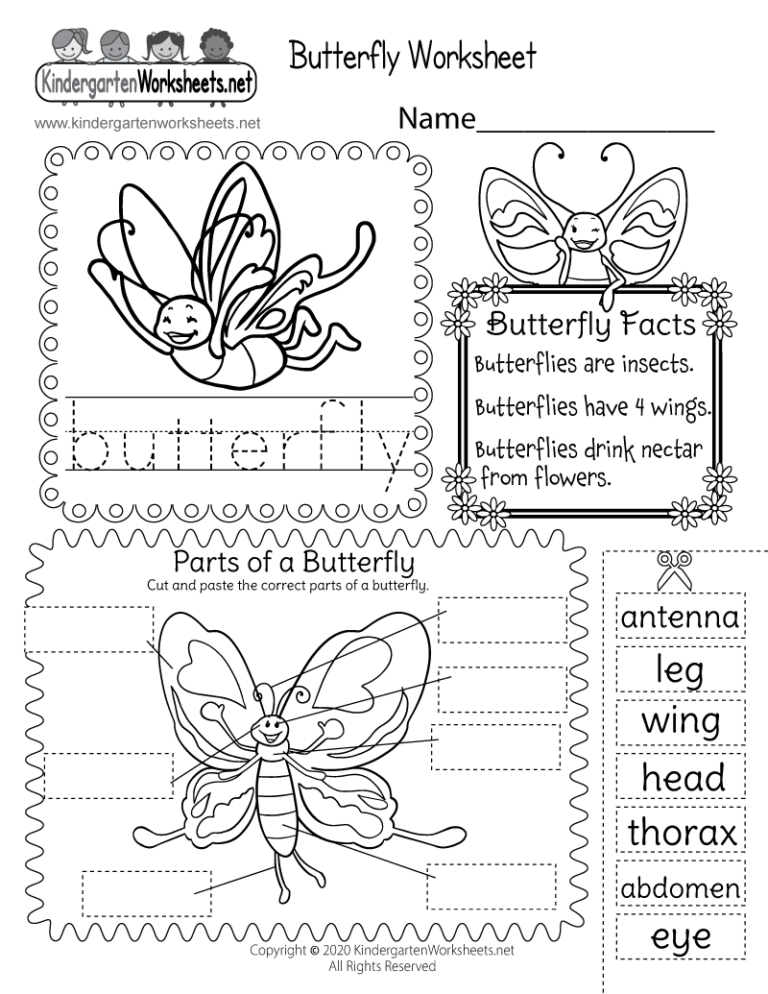Parts Of A Butterfly Worksheet Free Printable Digital PDF