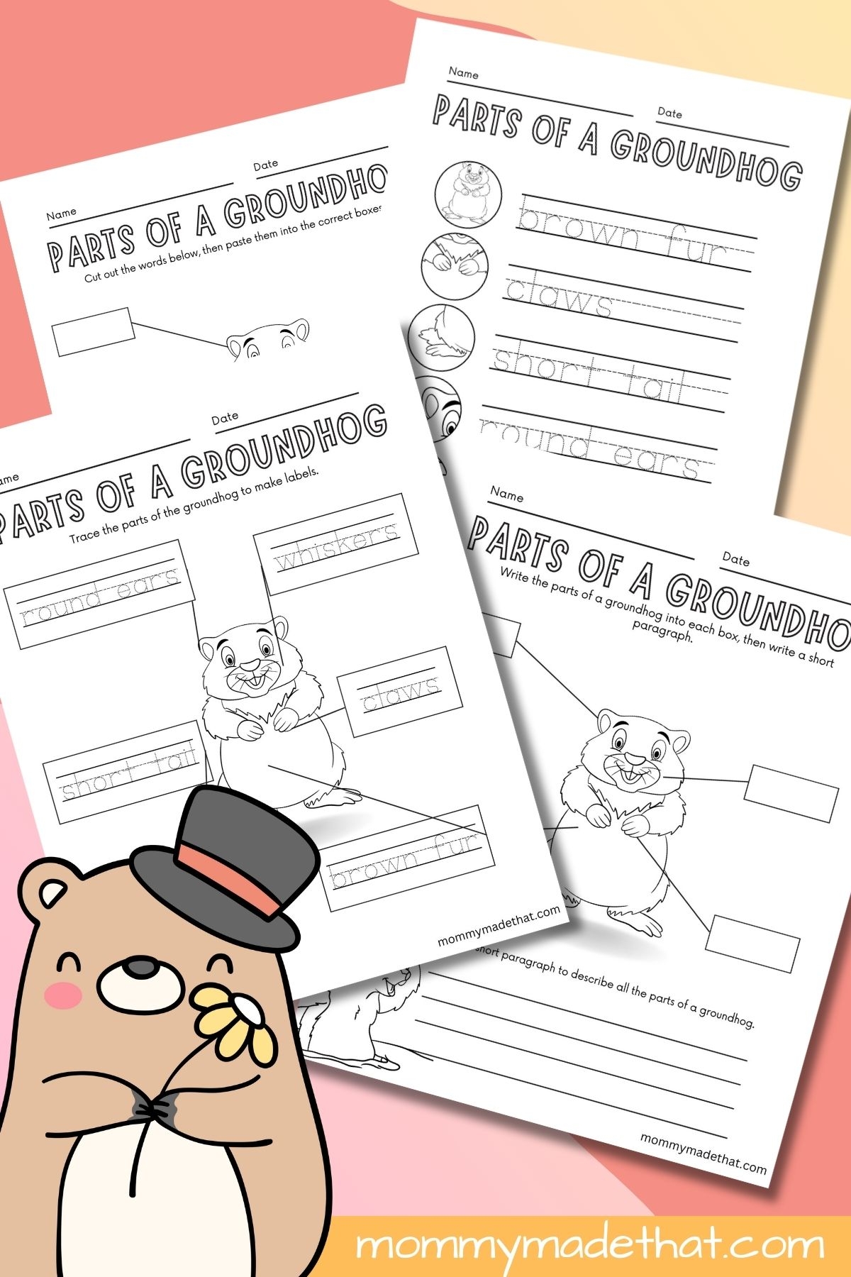 Parts Of A Groundhog Worksheets Free Printables Parts Of A Groundhog Worksheets Free Printables