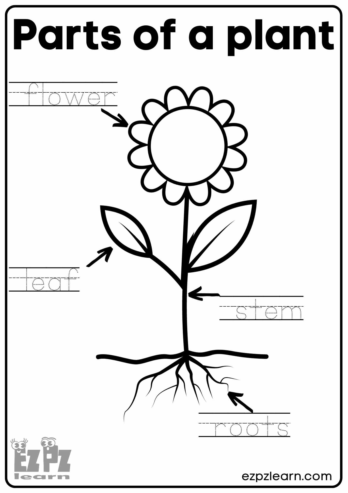 Parts Of A Plant Vocabulary Worksheet Write The Words And Color The Flower Activity For Kindergarten K5 And ESL Students Free Printable PDF Download Ezpzlearn Parts Of A Plant Vocabulary Worksheet Write The Words And Color The Flower Activity For Kindergarten K5 And ESL Students Free Printable PDF Download Ezpzlearn