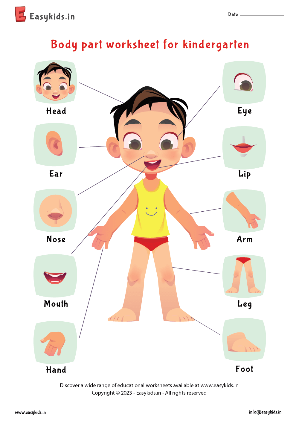 Parts Of Body Worksheet Parts Of Body Worksheet