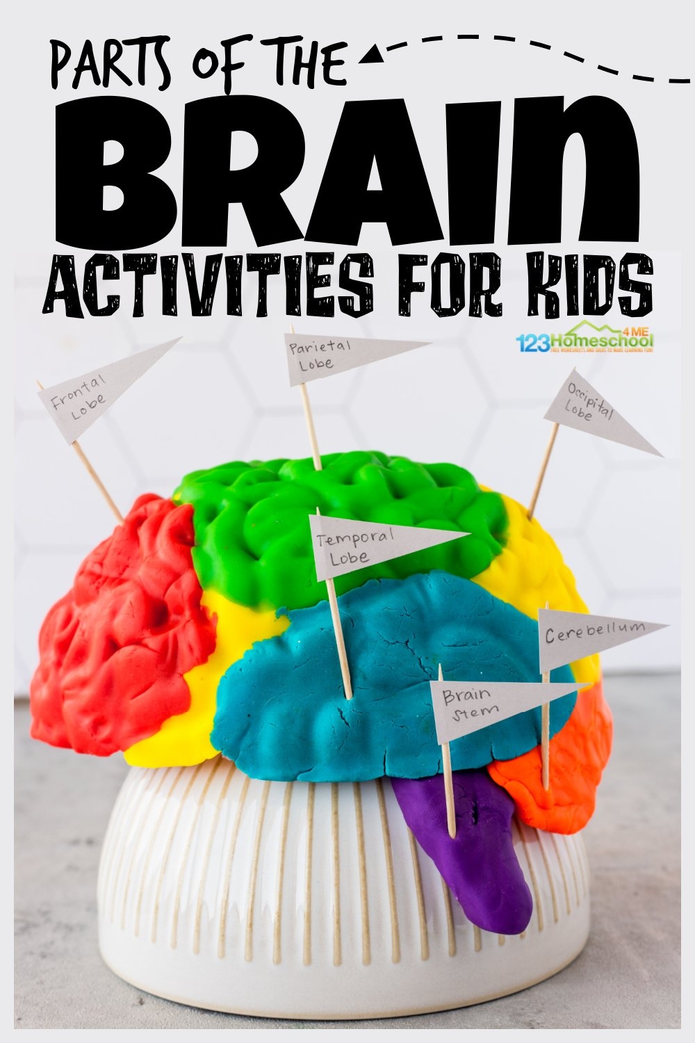 Brain Printables Preschool