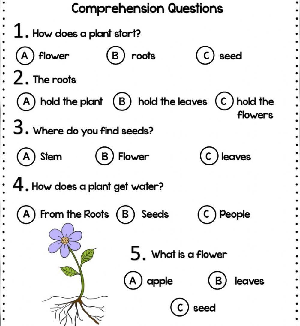 Parts Of The Plant Reading Comprehension Worksheet Live Worksheets Worksheets Library