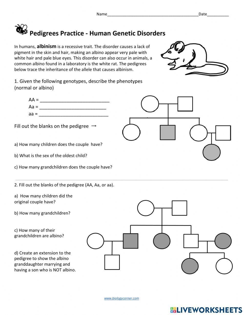 Pedigree Charts Worksheet Worksheets Library Pedigree Charts Worksheet Worksheets Library