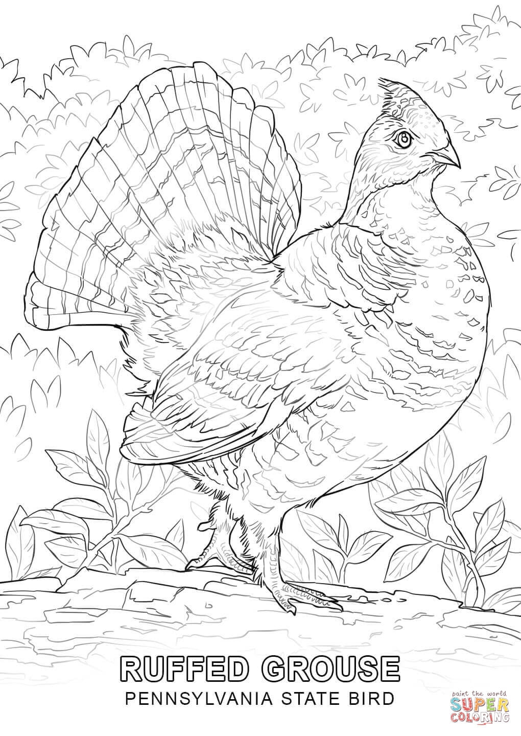 Pennsylvania 30 Free Printable Coloring Pages