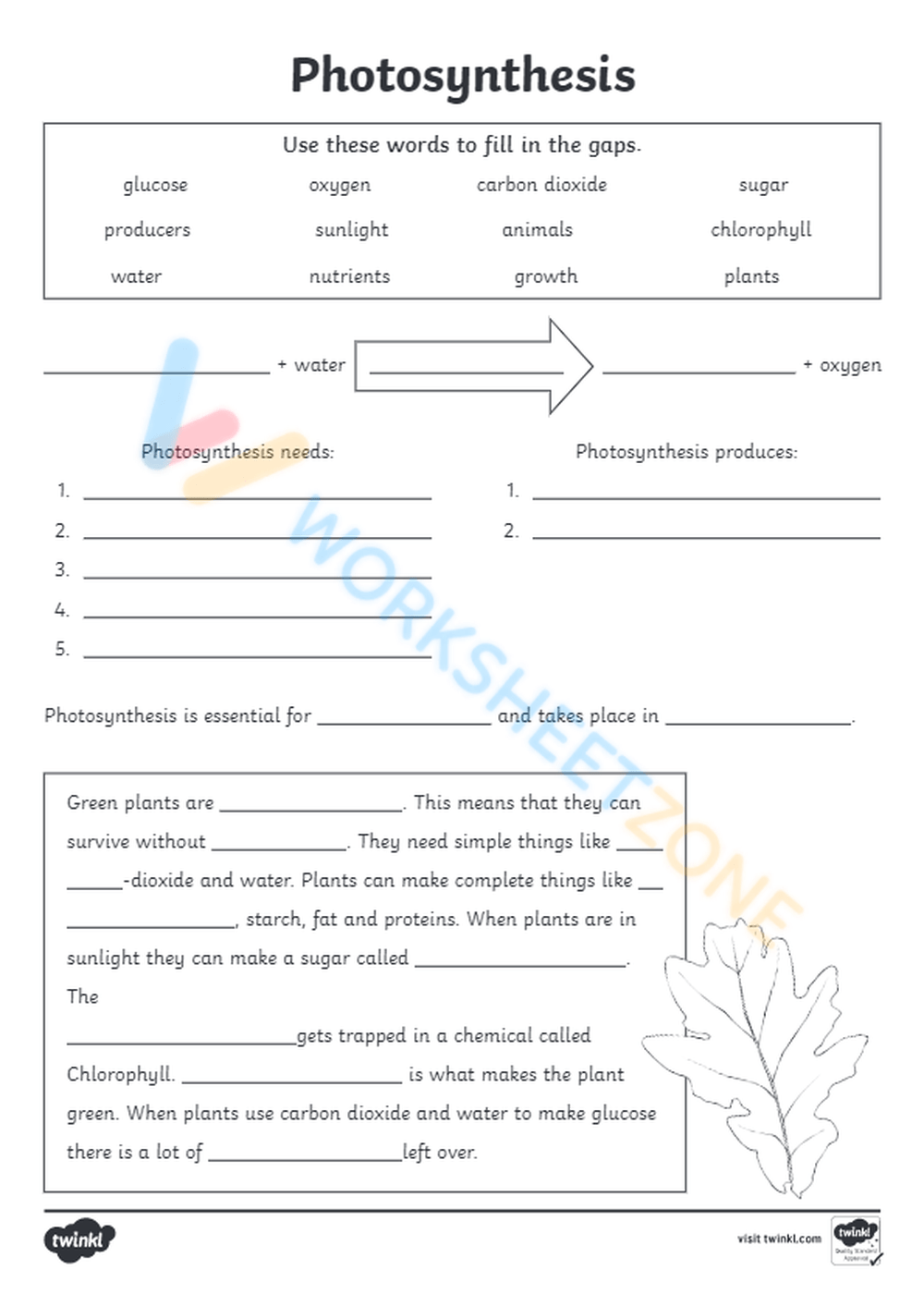 Free Photosynthesis Worksheet Printable