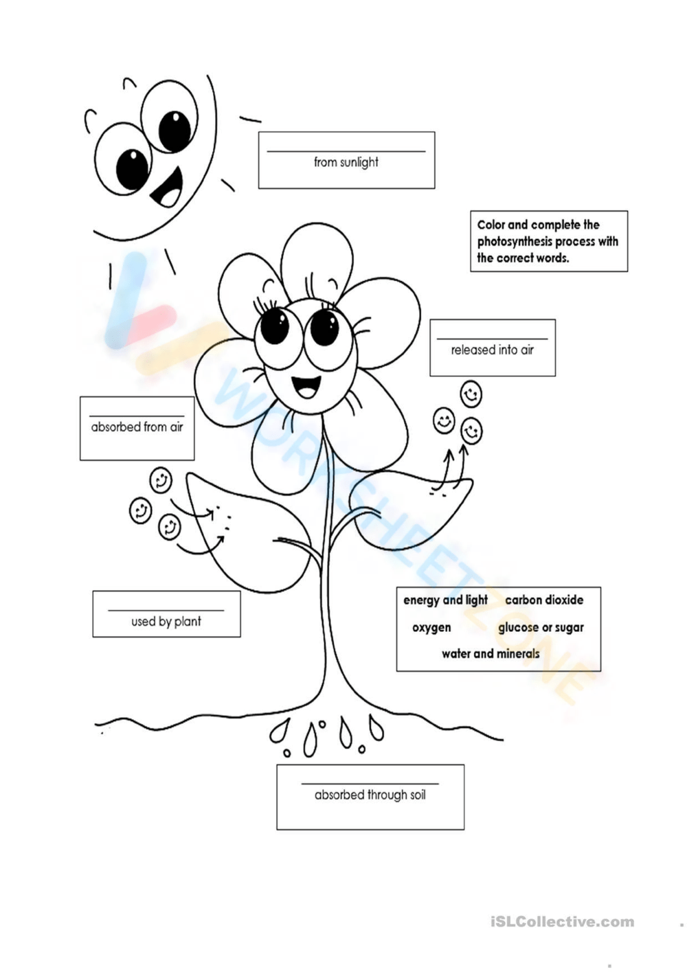 Photosynthesis Worksheets K5 Learning Worksheets Library