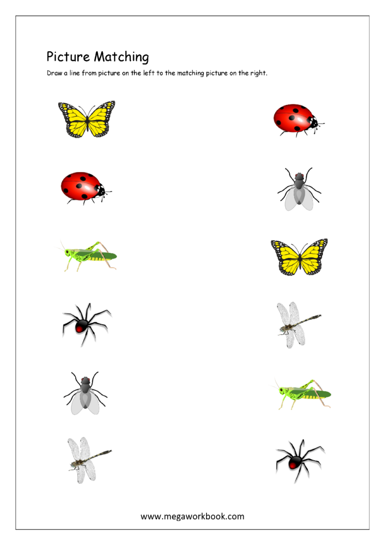Picture Matching Worksheets For Preschool Free Logical Thinking Printables For Kids MegaWorkbook