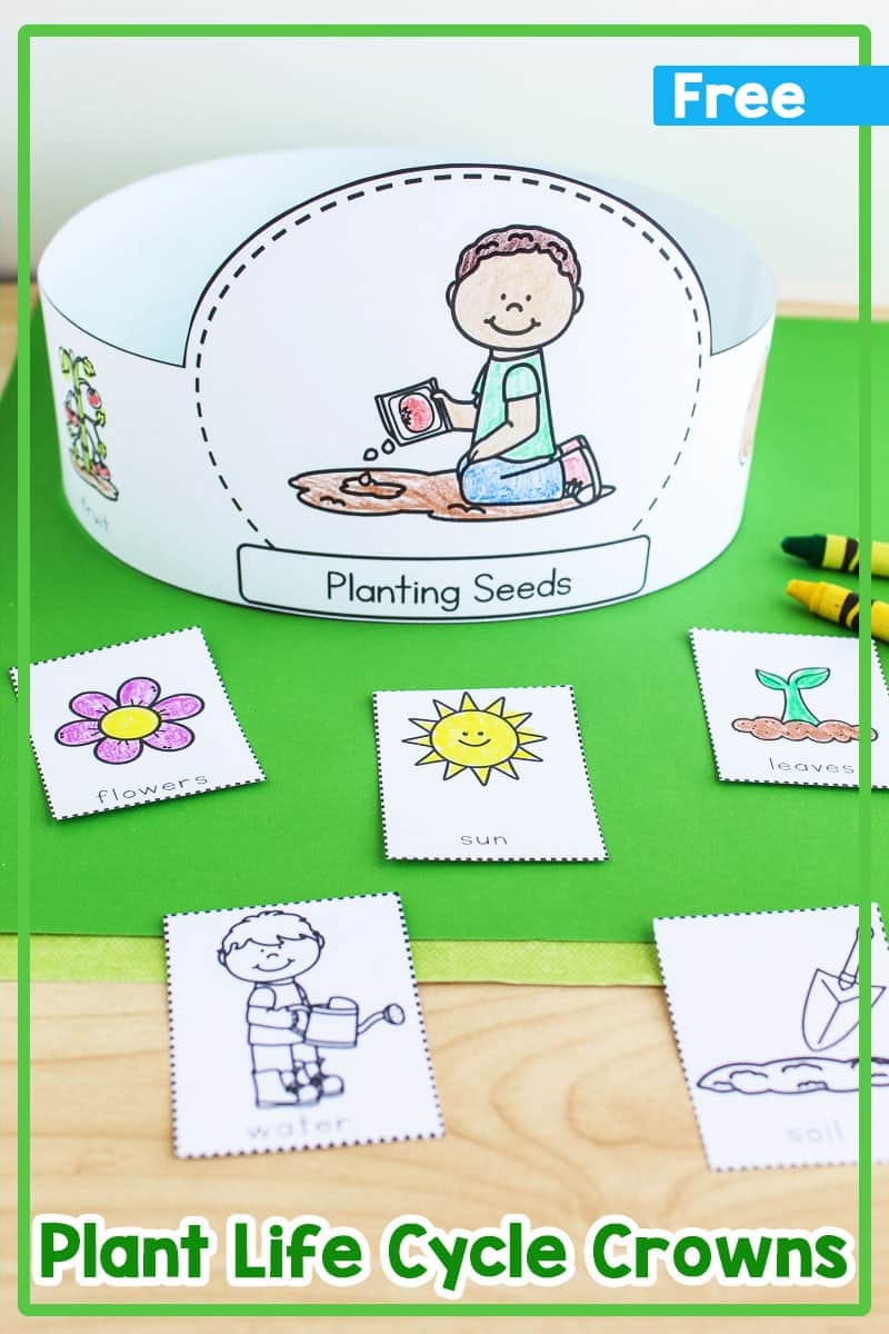 Plant Life Cycle Hats Free Printable 
