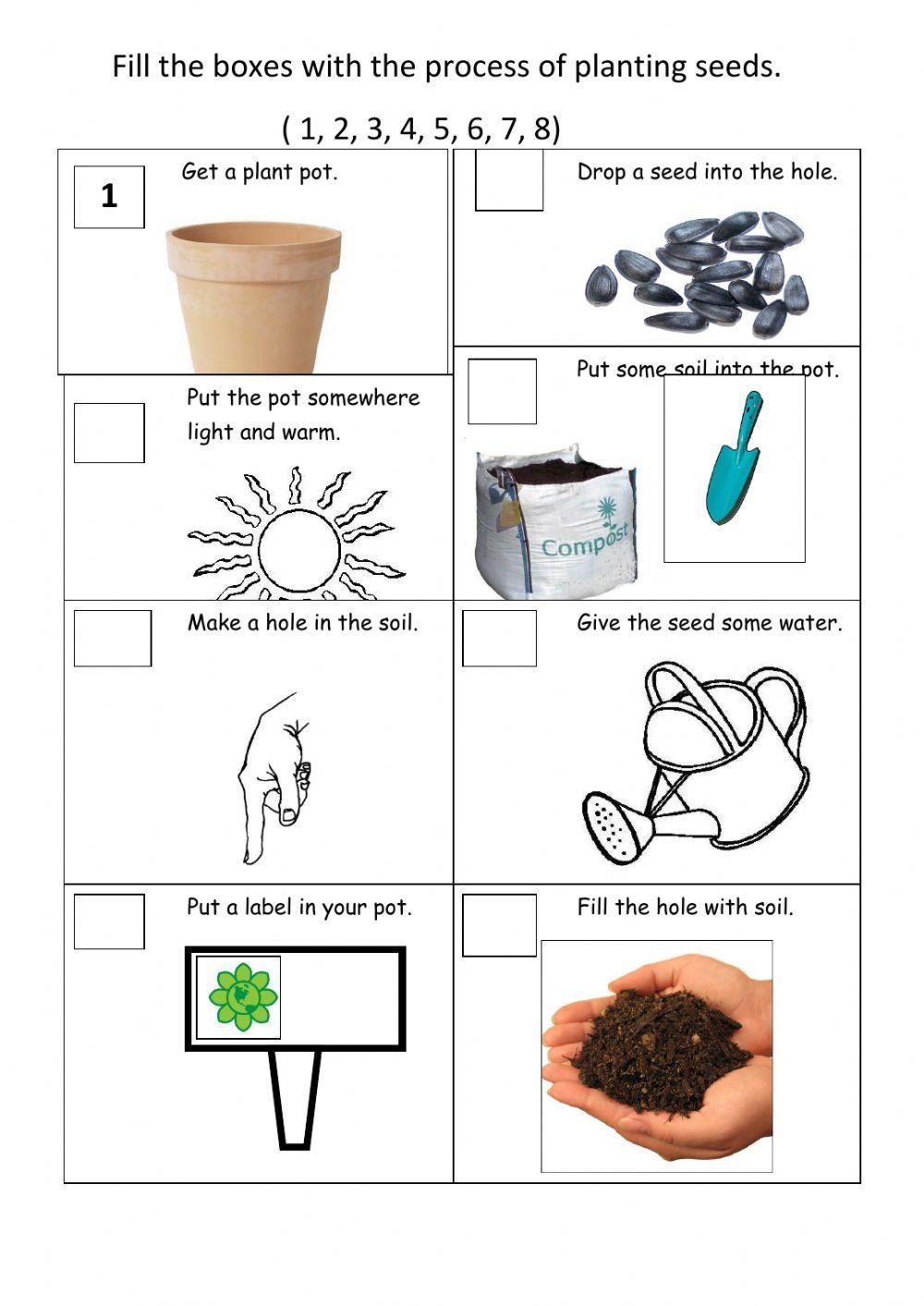 Plants Worksheet For Grade 2 Live Worksheets Worksheets Library